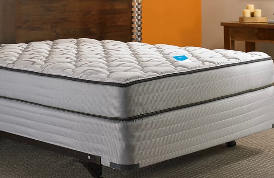 best mattress for mild scoliosis